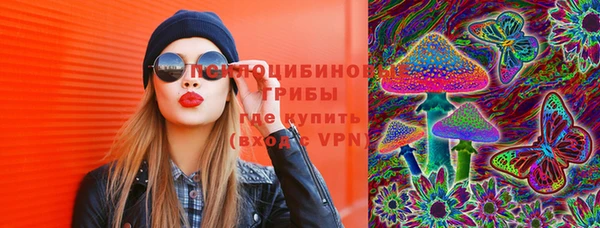 МДПВ Надым