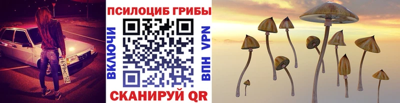 Галлюциногенные грибы прущие грибы  Тверь 